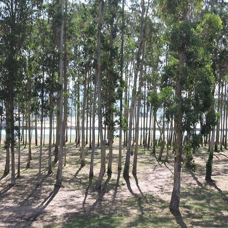 Apartamento Pie De Playa, El Puntal-Villaviciosa Вилавичоза Екстериор снимка